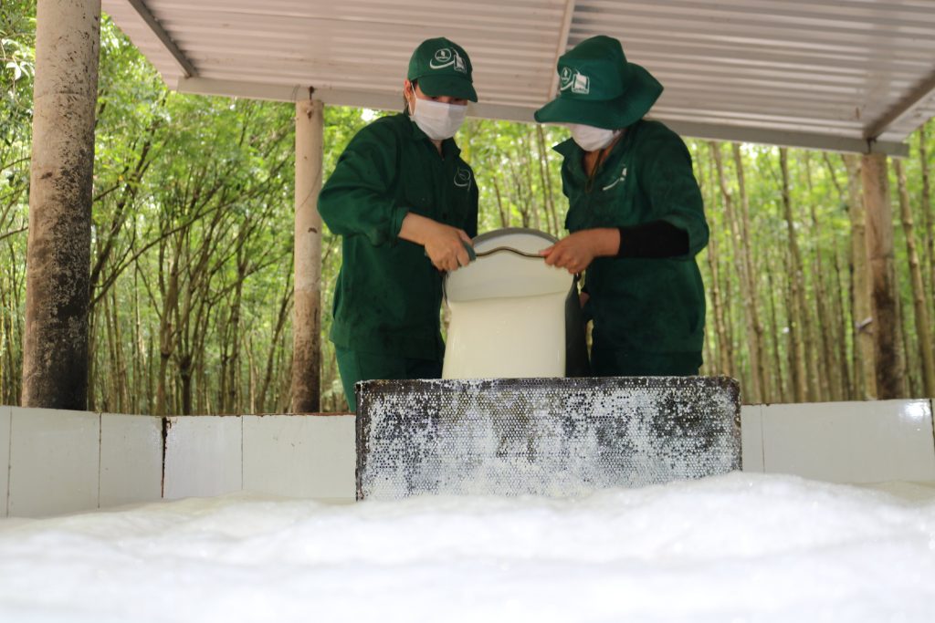 Chuyển đổi xanh đồng bộ và hiệu quả